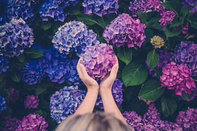Low angle view of woman standing on purple flower