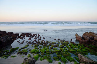 Scenic view of sea against clear sky