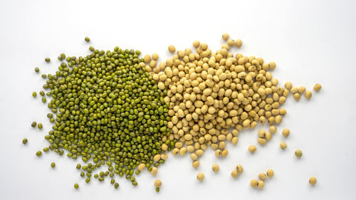 High angle view of eggs on white background