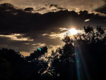 Low angle view of sunlight streaming through silhouette trees