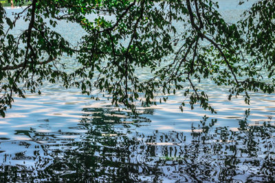 Scenic view of lake