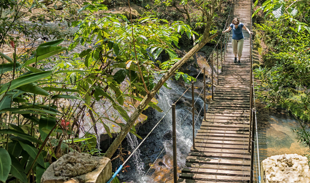 HIGH ANGLE VIEW OF WOMAN WALKING ON STEPS IN FOREST