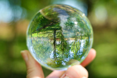 Close-up of person hand holding glass