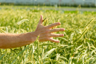 Cropped hand of woman on field