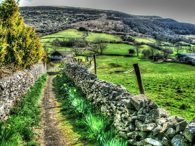 landscape, green color, grass, tranquil scene, tranquility, field, rural scene, scenics, nature, agriculture, beauty in nature, mountain, growth, hill, farm, footpath, plant, sky, remote, the way forward