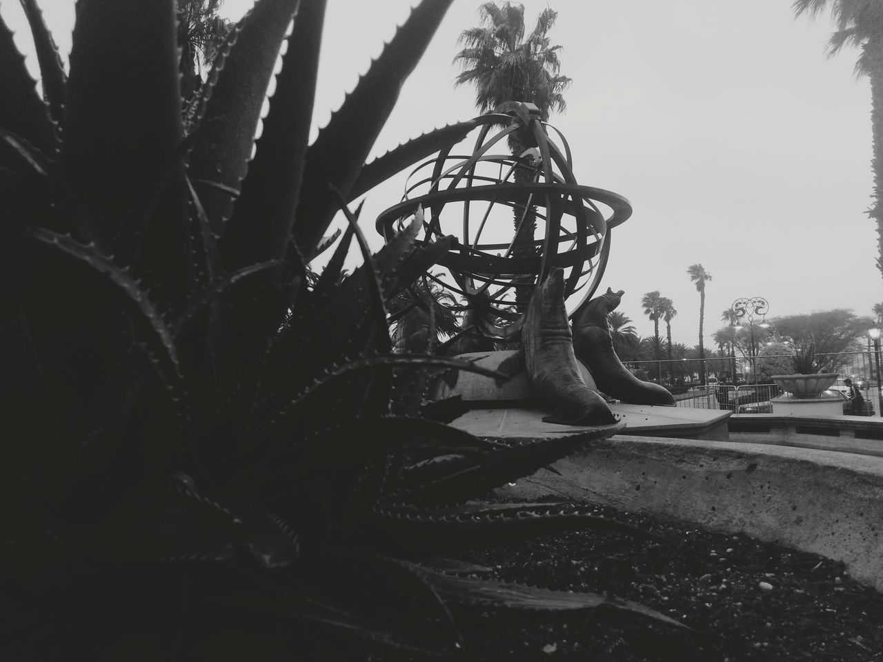 CLOSE-UP OF SCULPTURE ON TREE