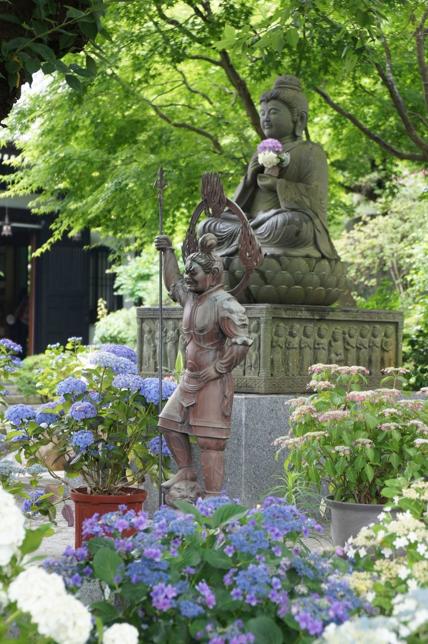 statue, human representation, sculpture, art and craft, art, creativity, flower, tree, plant, growth, park - man made space, formal garden, day, outdoors, religion, nature, animal representation, buddha