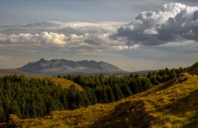 Scenic view of landscape against sky