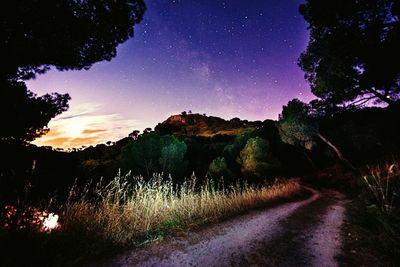 Trees at night