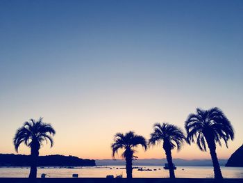 Silhouette palm trees on beach against clear sky