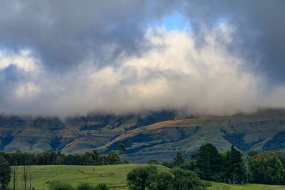 Scenic view of landscape against sky