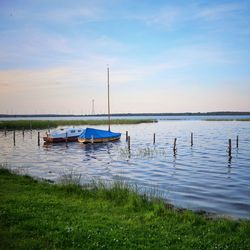 Sailboats moored in lake against sky