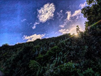 Low angle view of trees against sky