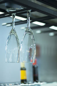 Close-up of wineglasses hanging on rack in restaurant