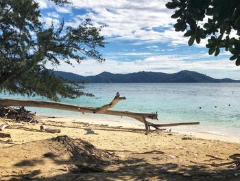 Scenic view of beach against sky