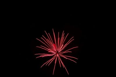 Low angle view of firework display against sky at night