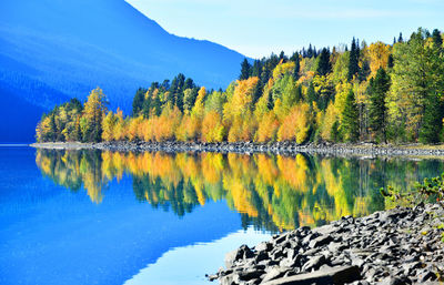 Reflection of trees on lake during autumn