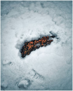 Full frame shot of snow covered field