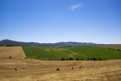 Hills with round bales of hay tuscan countryside