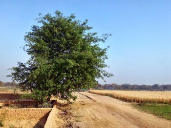 Road passing through field against clear sky