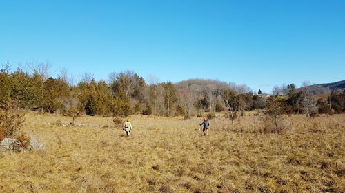 Man walking on field against clear sky