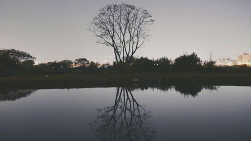 Reflection of trees in lake against sky