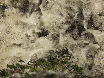 Full frame shot of water