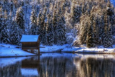 Frozen lake in forest during winter