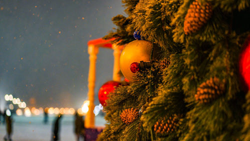 Close-up of christmas tree