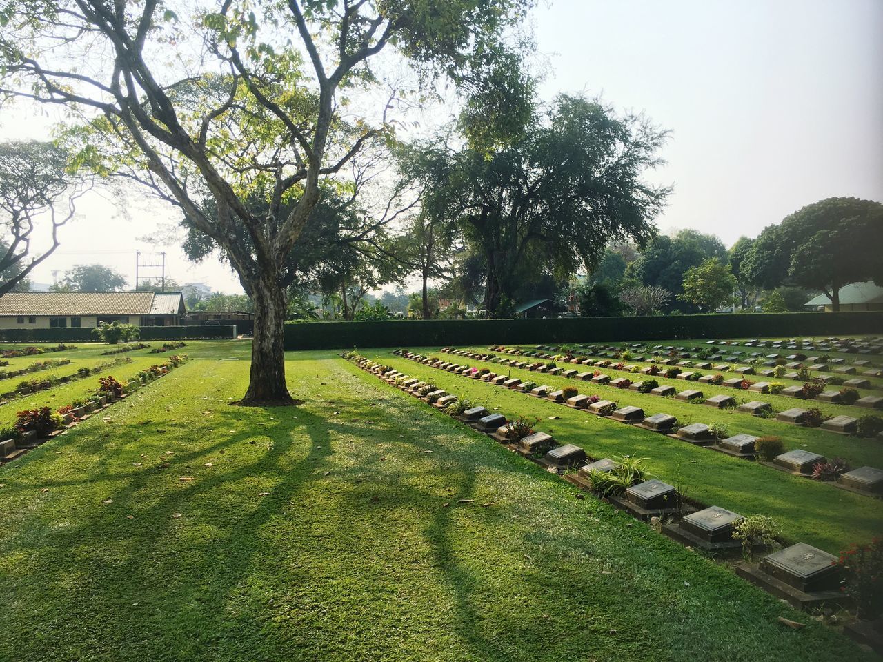 SCENIC VIEW OF PARK