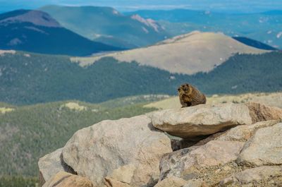 Rocks sitting on rock against mountains