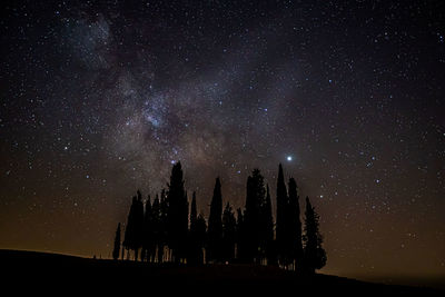 Silhouette trees against sky at night