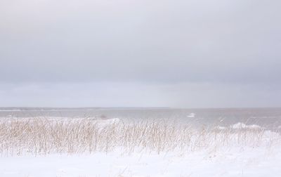 Scenic view of sea against sky during winter