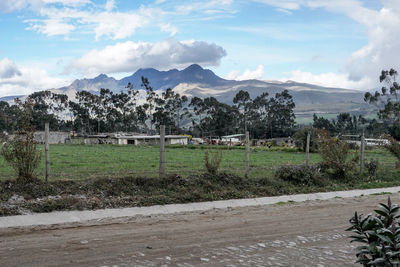 Scenic view of field against sky