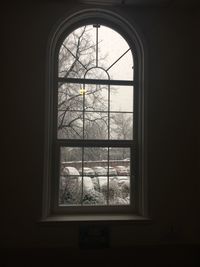 Bare trees seen through window