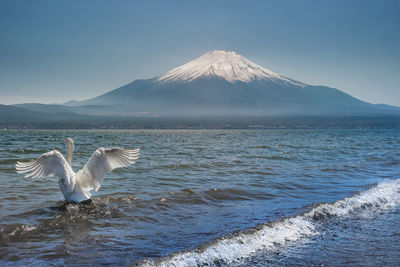 View of birds in sea against sky