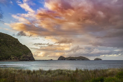 Lord howe island dramatic colorful pink, orange and blue sky sunset, view from neds beach, australia