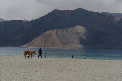 View of horse on a lake