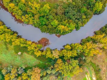 High angle view of plants by lake