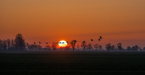 Scenic view of sunset