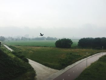 Scenic view of landscape against sky