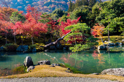 Scenic view of lake by trees during autumn