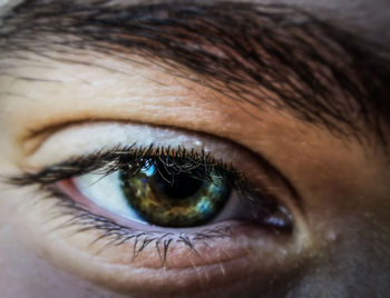 Extreme close-up of human eye