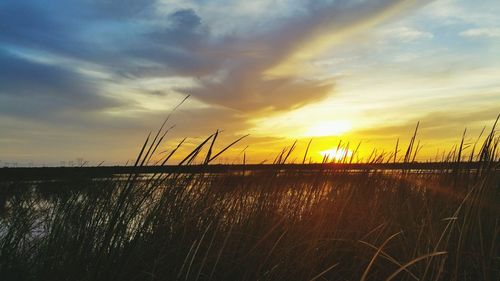 Scenic view of sunset sky