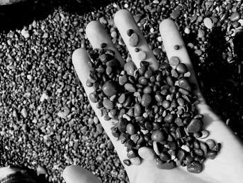 Close-up of a hand holding pebbles