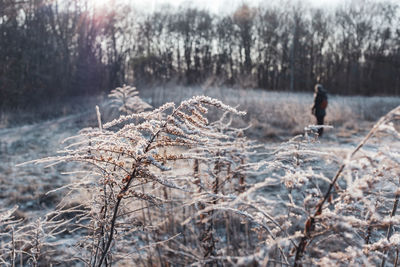Person on snow covered land during winter