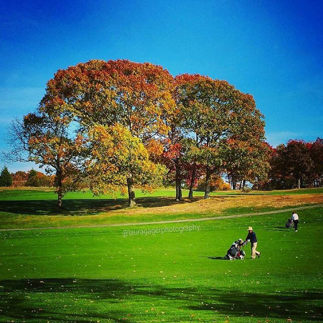 grass, tree, leisure activity, men, lifestyles, person, green color, clear sky, park - man made space, field, grassy, blue, large group of people, relaxation, nature, togetherness, park, sitting