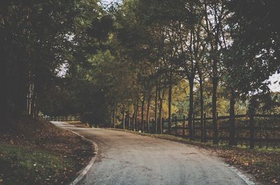 Road amidst trees in forest