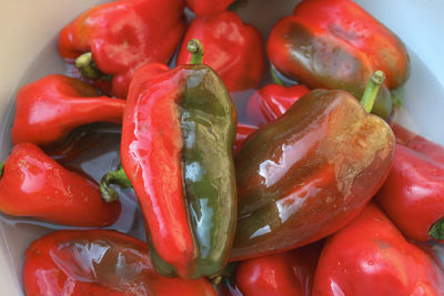 Close-up of bell peppers