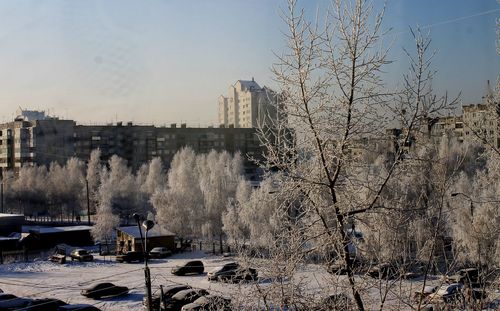 Bare trees in city against sky